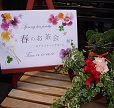 spring_tea_party_4